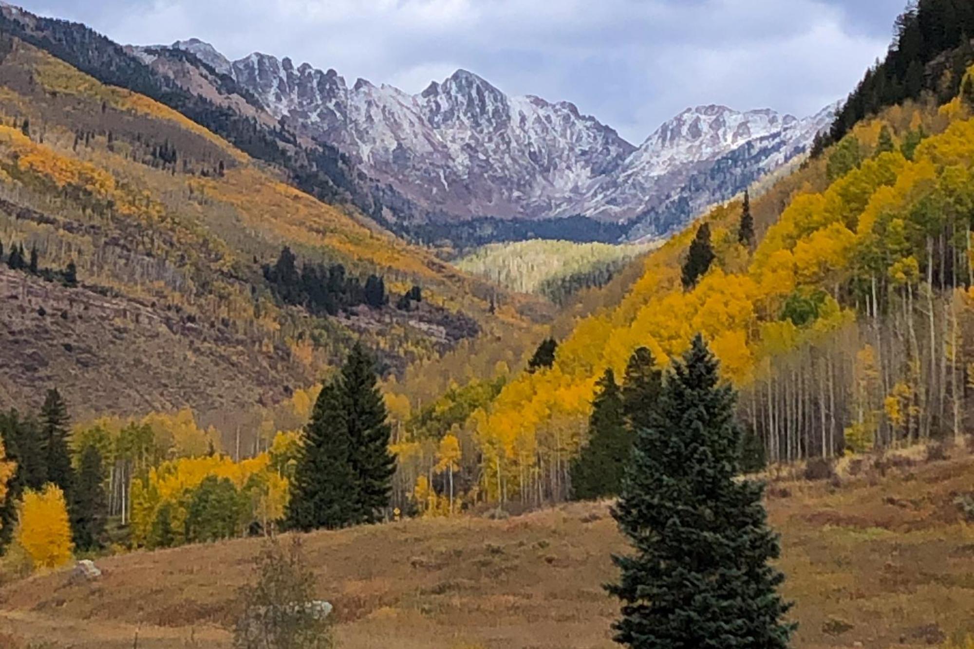 Fallridge Vail Phòng bức ảnh